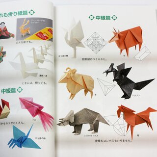 Maekawa: Genuine Origami