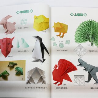 Maekawa: Genuine Origami