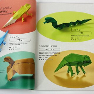 Fuchimoto: Reptilien und Amphibien aus einem St�ck Papier