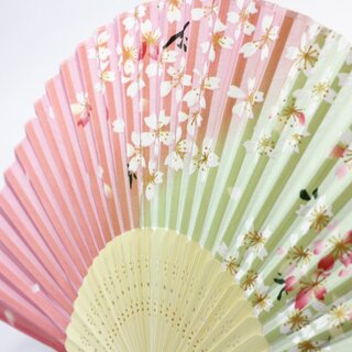 Fcher Kirschblte rosa-grn