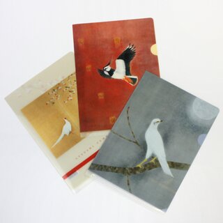 Sichtfolien, 3er Set Prospekth�llen B6