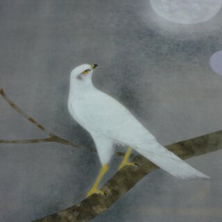 Sichtfolien, 3er Set Prospekth�llen B6