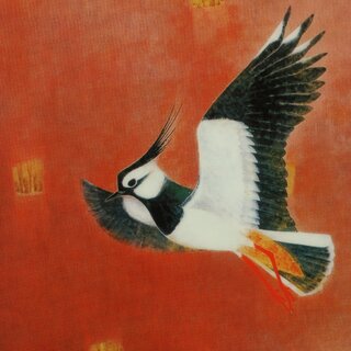 Sichtfolien, 3er Set Prospekth�llen B6