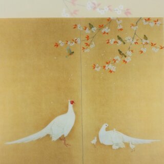 Sichtfolien, 3er Set Prospekth�llen B6