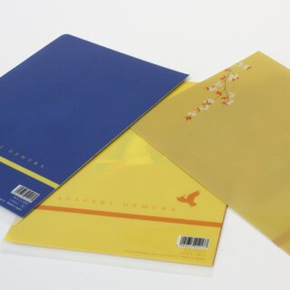 Sichtfolien, 3er Set Prospekth�llen B6