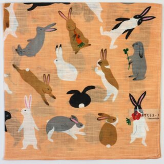 Taschentuch H�schen 50 x 50 cm