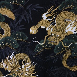 Happi Drache mit Kiefer schwarz, 105 lang