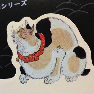 Haftzettel Katzen, 3 Motive