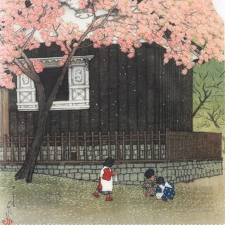 Sichtfolie 2er Set Edo 16,5 x 11,5 mm