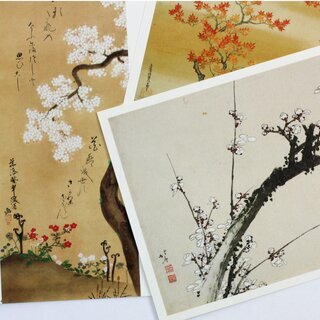 Postkartenset 4er Set, Ahorn & Suzuki-Gras