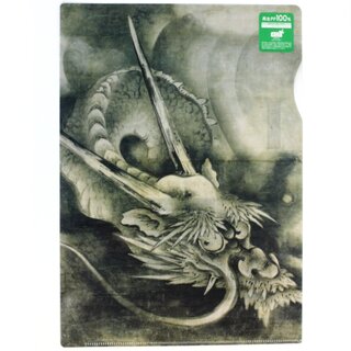 Sichtfolie A4, Prospekth�lle Drache