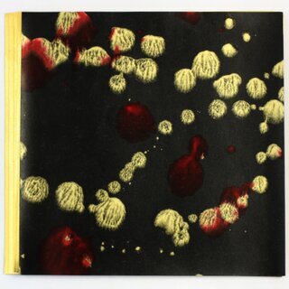 Double Color metallic schwarz-gold 17 x 17 cm