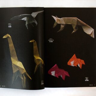 Kawahata:Kunst der kreativen Origami Techniken