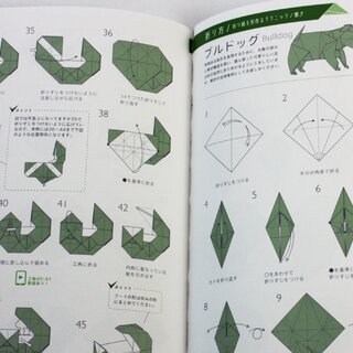 Kawahata:Kunst der kreativen Origami Techniken