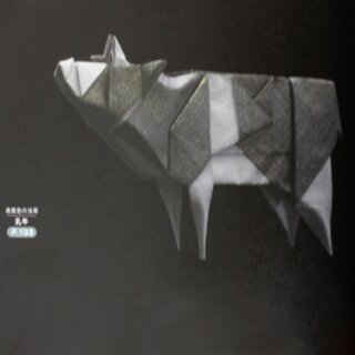 Kawahata: Kunst der kreativen Origami Techniken
