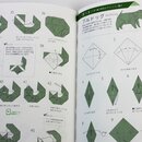 Kawahata: Kunst der kreativen Origami Techniken