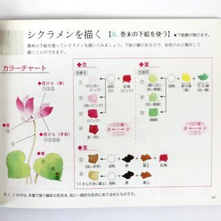 Jigami: Bildpostkarten f�r Einsteiger