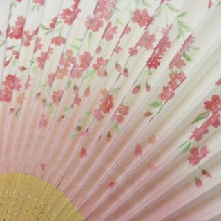 F�cher Shidare Sakura