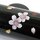 Teedose Maki-E Kirschblüten schwarz, 15,3 cm hoch, handbemalt