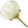 Blattfächer, Uchiwa Libellen & Suzuki-Gras, 38 x 24,5 cm