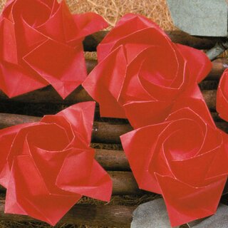 Kawasaki: Origami World