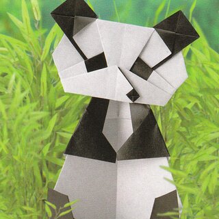 Kawasaki: Doctors Origami Dream Book (144 Modelle)