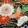 Yuzen Washi 7,5 cm, 30 Blatt