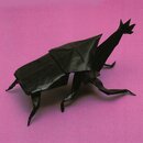 Kawahata - Kabutomushi - Hirschkäfer & Co.