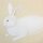 Kunstdruck "Hase" von Yasuda Yukihiko, 27 x 24 cm