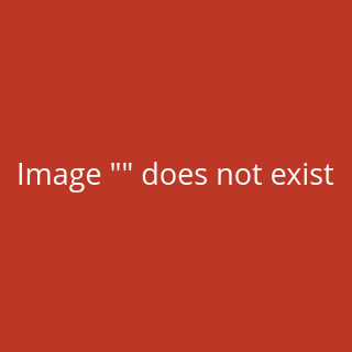 2 St. Shikishi L wei� 273 x 242 mm, f�r Kalligrafie und...