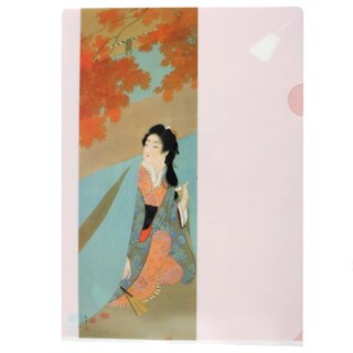 Sichtfolie, Prospekth�lle A4 Sch�nheit mit Ahorn