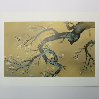 Kunstdruck Pflaumenblüte von Taikan Yokoyama 38cm x 28,5cm