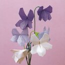 Momotani: Wildblumen in Origami