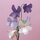 Momotani: Wildblumen in Origami