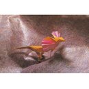 Momotani: Kyouryu Origami - Saurier