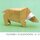 Kawahata: Wilde Tiere aus der ganzen Welt