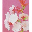 Momotani: Flowers of Japan