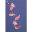 Momotani: Flowers of Japan