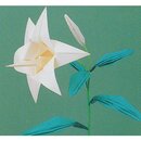 Momotani: Flowers of Japan