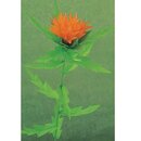 Momotani: Flowers of Japan