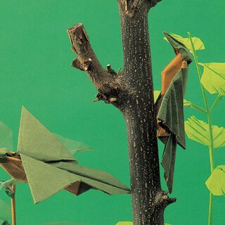Momotani: Origami japanische Wildvgel