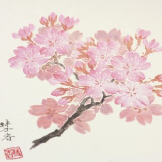 10 Papiertischsets Kirschblüte 39 x 26,5 cm