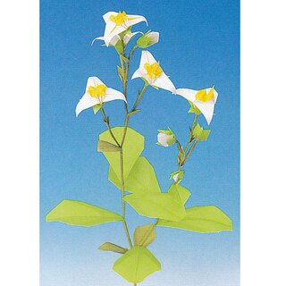 Momotani: Alpine Origami-Blumen