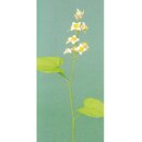 Momotani: Alpine Origami-Blumen
