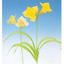 Momotani: Alpine Origami-Blumen