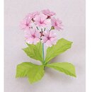 Momotani: Alpine Origami-Blumen