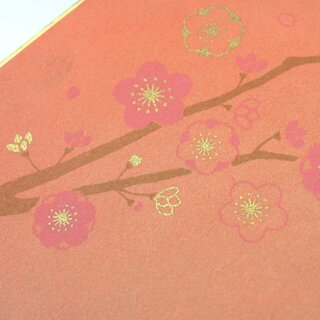 Shikishi L M�dchenfest, f�r Kalligrafie und Origami