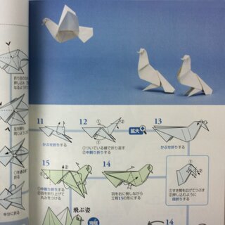Kasahara: Doubutsu Origami Book