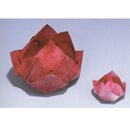 Takai: Hana no Origami - Origamiblumen