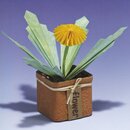 Takai: Hana no Origami - Origamiblumen